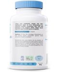 Omega-3 Vegan, 250 mg DHA, 120 гел капсули, Osavi - 3t