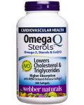 Omega Q Sterols, 200 софтгел капсули, Webber Naturals - 1t