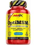 OptiMSM, 120 веге капсули, Amix - 1t