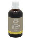 Organic Solidago Complex, тинктура, 100 ml, Mattisson Healthstyle - 1t