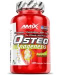 Osteo Anagenesis, 120 капсули, Amix - 1t