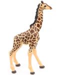 Фигурка Papo Wild Animal Kingdom – Малко жирафче - 3t