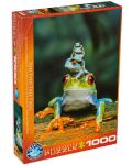 Пъзел Eurographics от 1000 части – Червеноока дървесна жаба - 1t