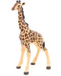 Фигурка Papo Wild Animal Kingdom – Малко жирафче - 1t