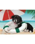 Пъзел Clementoni от 104 части - Кученце на плажа - 2t