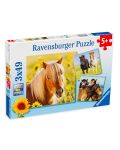 Пъзел Ravensburger от 3 x 49 части - Красиви коне - 1t