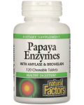 Papaya Enzymec with Amylase & Bromelain, 120 дъвчащи таблетки, Natural Factors - 1t