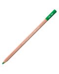Пастелен молив Caran d'Ache Pastel - Middle moss green - 1t