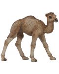 Фигурка Papo Wild Animal Kingdom – Малка едногърба камила - 1t