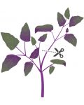 Пълнител Veritable - Lingot, Червен френски спанак, без ГМО - 3t