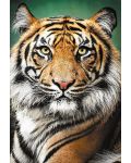 Пъзел Trefl от 1500 части - Портрет на тигър - 2t