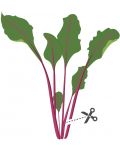 Пълнител Veritable - Lingot, Листа цвекло, без ГМО - 4t