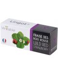 Пълнител Veritable - Lingot, Червени диви ягоди, без ГМО - 1t