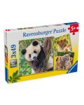 Пъзел Ravensburger от 3 x 49 части - Панда, тигър и лъв - 1t