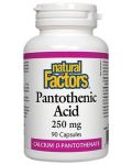 Pantothenic Acid, 250 mg, 90 капсули, Natural Factors - 1t