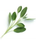 Пълнител Veritable - Lingot, Градински чай листа, без ГМО - 2t