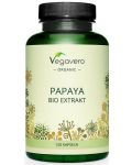 Papaya Bio Extrakt, 120 капсули, Vegavero - 1t