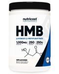 Performance HMB, 250 g, Nutricost - 1t