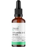 Pharma Vitamin A + E Drops, 30 ml, OstroVit - 1t