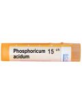 Phosphoricum acidum 15CH, Boiron - 1t