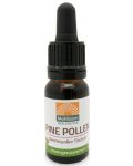 Pine Pollen, тинктура, 10 ml, Mattisson Healthstyle - 1t