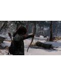 Sony PlayStation 4 & The Last of Us: Remastered Bundle - 16t