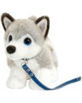 Плюшена играчка Keel Toys Куче - Хъски, с каишка, 30 cm - 1t