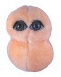 Плюшена играчка Пневмония (Streptococcus Pneumonia) - 1t