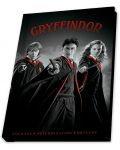 Подаръчен комплект ABYstyle Movies: Harry Potter - Harry, Ron and Hermione - 6t