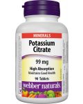 Potassium Citrate High Absorption, 99 mg, 90 таблетки, Webber Naturals - 1t
