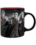 Подаръчен комплект ABYstyle Movies: Harry Potter - Harry, Ron and Hermione - 2t