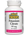 Potassium Citrate, 99 mg, 90 таблетки, Natural Factors - 1t