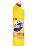 Почистващ препарат Domestos - Citrus, 750 ml - 1t