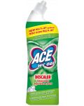 Почистващ препарат за тоалетна ACE - WC Gel Descaling, 700 ml - 1t