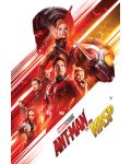 Макси плакат Pyramid - Ant-Man and the Wasp, One sheet - 1t
