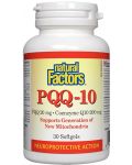 PQQ-10, 30 капсули, Natural Factors - 1t