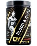 Blood & Guts, ягода, 380 g, Dorian Yates Nutrition - 1t