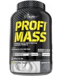 Profi Mass, банан, 2500 g, Olimp - 1t