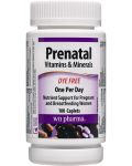 Prenatal Vitamins & Minerals, 100 каплети, Webber Naturals - 1t