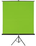 Проекторен екран Hama - 21571, 180x180cm, зелен - 1t