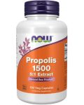 Propolis 1500 5:1 Еxtract, 300 mg, 100 капсули, Now - 1t