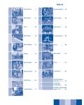 PRIMA A1: Deutsch für Jugendliche: Arbeitsbuch / Работна тетрадка по немски език за 8. клас (интензивно, разширено обучение) - ниво A1 (Просвета) - 2t