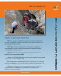 Птиците на Балканския полуостров. Полеви определител + CD - 2t
