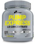 Pump Express 2.0 Concentrate, горски плодове, 660 g, Olimp - 1t