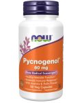Pycnogenol, 50 капсули, Now - 1t