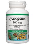 Pycnogenol, 100 mg, 30 капсули, Natural Factors - 1t