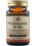 Pycnogenol, 30 mg, 30 растителни капсули, Solgar - 1t
