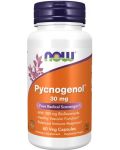 Pycnogenol, 60 капсули, Now - 1t