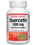 Quercetin with Zinc & Copper, 500 mg, 60 капсули, Natural Factors - 1t