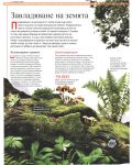 Илюстрована научна енциклопедия Британика: Растения, водорасли и гъби - 7t